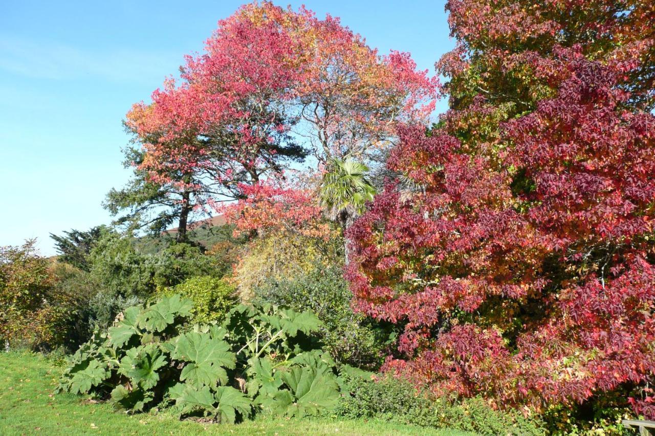 Luxury Bed And Breakfast At Bossington Hall In Exmoor, Somerset Porlock Exteriér fotografie