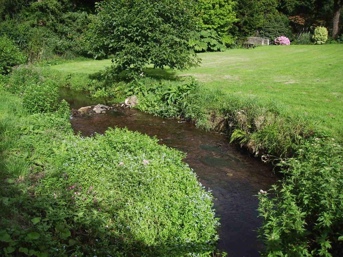 Luxury Bed And Breakfast At Bossington Hall In Exmoor, Somerset Porlock Exteriér fotografie