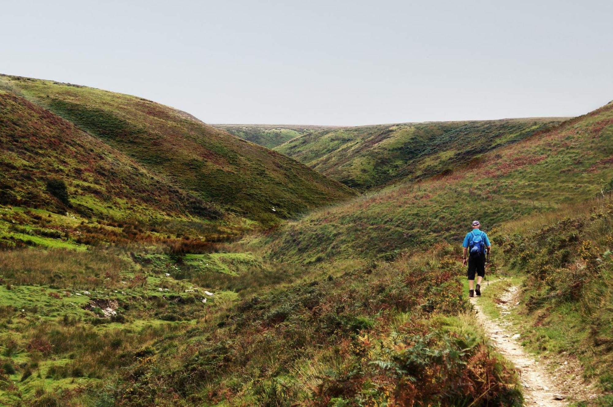 Luxury Bed And Breakfast At Bossington Hall In Exmoor, Somerset Porlock Exteriér fotografie